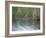 Alligator at Anhinga Trail, Everglades, Florida, USA-Amanda Hall-Framed Photographic Print