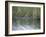 Alligator at Anhinga Trail, Everglades, Florida, USA-Amanda Hall-Framed Photographic Print