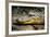 Alligator, Atchafalaya Basin Area, Louisiana, USA-Alison Jones-Framed Photographic Print