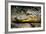 Alligator, Atchafalaya Basin Area, Louisiana, USA-Alison Jones-Framed Photographic Print