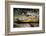 Alligator, Atchafalaya Basin Area, Louisiana, USA-Alison Jones-Framed Photographic Print