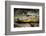 Alligator, Atchafalaya Basin Area, Louisiana, USA-Alison Jones-Framed Photographic Print