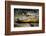 Alligator, Atchafalaya Basin Area, Louisiana, USA-Alison Jones-Framed Photographic Print