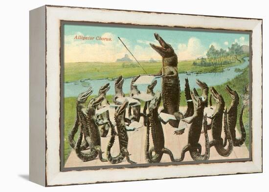 Alligator Chorus-null-Framed Stretched Canvas