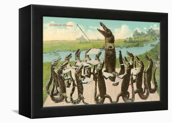 Alligator Chorus-null-Framed Stretched Canvas