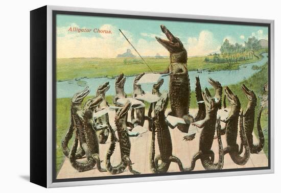 Alligator Chorus-null-Framed Stretched Canvas