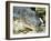 Alligator, Everglades National Park, Florida, USA-Ethel Davies-Framed Photographic Print