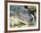 Alligator, Everglades National Park, Florida, USA-Ethel Davies-Framed Photographic Print