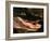 Alligator, Everglades National Park, Florida, USA-Charles Sleicher-Framed Photographic Print