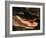 Alligator, Everglades National Park, Florida, USA-Charles Sleicher-Framed Photographic Print