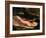 Alligator, Everglades National Park, Florida, USA-Charles Sleicher-Framed Photographic Print