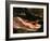 Alligator, Everglades National Park, Florida, USA-Charles Sleicher-Framed Photographic Print