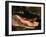 Alligator, Everglades National Park, Florida, USA-Charles Sleicher-Framed Photographic Print