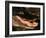 Alligator, Everglades National Park, Florida, USA-Charles Sleicher-Framed Photographic Print