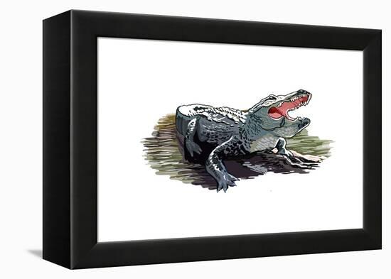 Alligator - Icon-Lantern Press-Framed Stretched Canvas