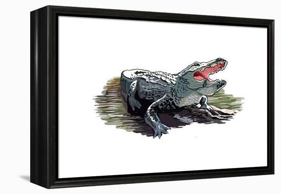 Alligator - Icon-Lantern Press-Framed Stretched Canvas