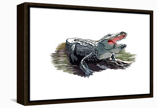 Alligator - Icon-Lantern Press-Framed Stretched Canvas