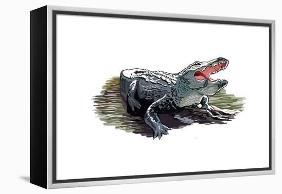 Alligator - Icon-Lantern Press-Framed Stretched Canvas