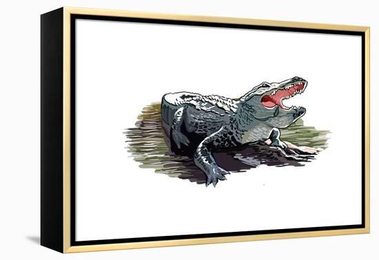 Alligator - Icon-Lantern Press-Framed Stretched Canvas