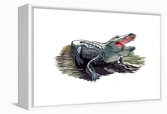 Alligator - Icon-Lantern Press-Framed Stretched Canvas