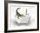 Alligator In Bathtub-Matthew Piotrowicz-Framed Art Print