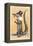 Alligator in Top Hat-null-Framed Stretched Canvas