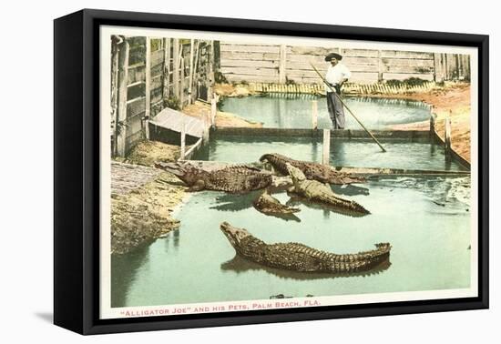 Alligator Joe, Palm Beach, Florida-null-Framed Stretched Canvas