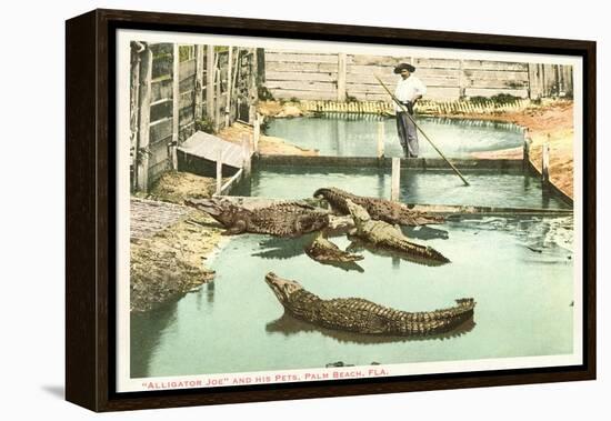 Alligator Joe, Palm Beach, Florida-null-Framed Stretched Canvas
