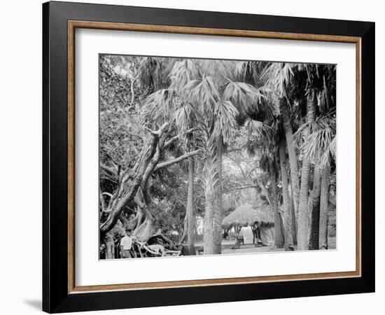 Alligator Joes Bungalow, Palm Beach, Fla.-null-Framed Photo