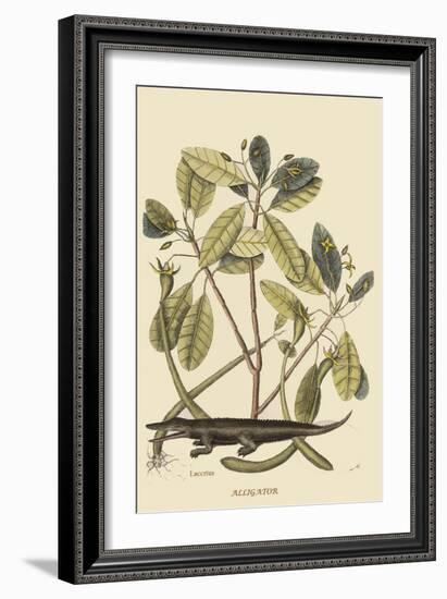 Alligator-Mark Catesby-Framed Premium Giclee Print