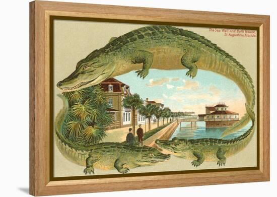 Alligators, Sea Wall, St. Augustine, Florida-null-Framed Stretched Canvas