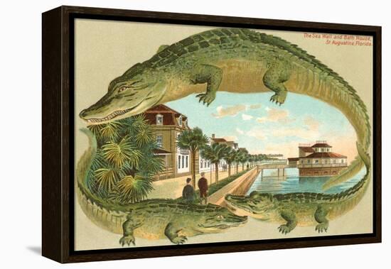 Alligators, Sea Wall, St. Augustine, Florida-null-Framed Stretched Canvas