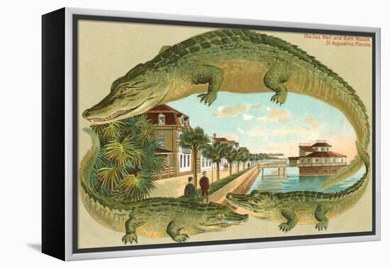 Alligators, Sea Wall, St. Augustine, Florida-null-Framed Stretched Canvas