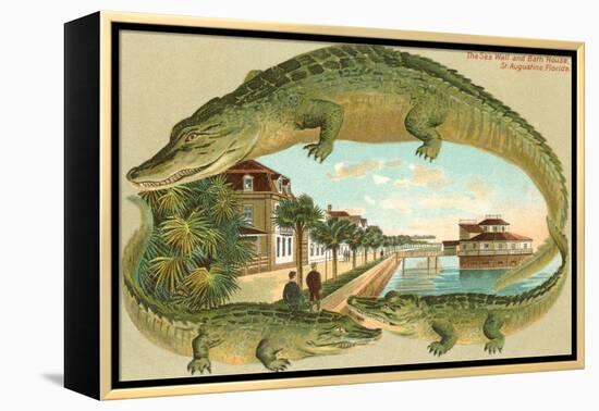 Alligators, Sea Wall, St. Augustine, Florida-null-Framed Stretched Canvas