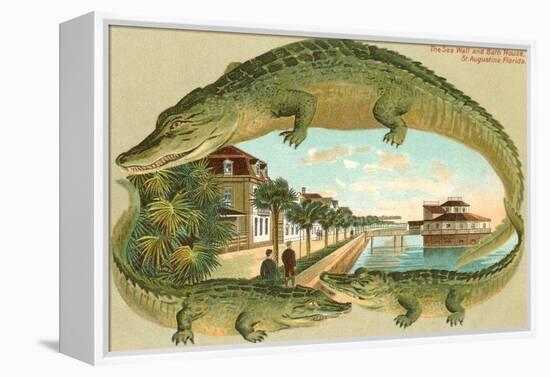 Alligators, Sea Wall, St. Augustine, Florida-null-Framed Stretched Canvas