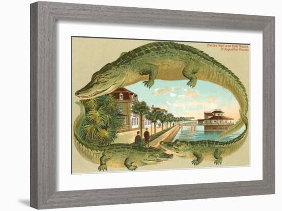 Alligators, Sea Wall, St. Augustine, Florida-null-Framed Art Print