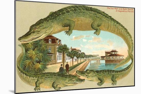 Alligators, Sea Wall, St. Augustine, Florida-null-Mounted Art Print