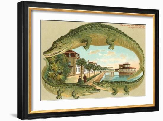 Alligators, Sea Wall, St. Augustine, Florida-null-Framed Art Print