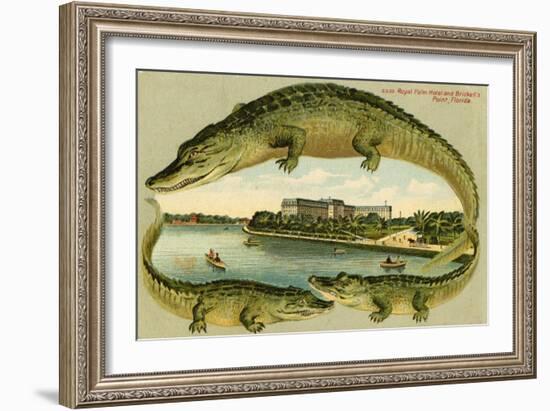 Alligators Surrounding the Royal Palm Hotel, C.1908-null-Framed Giclee Print