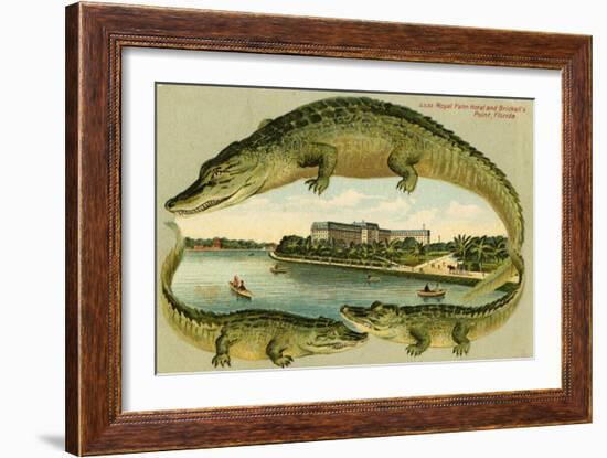Alligators Surrounding the Royal Palm Hotel, C.1908-null-Framed Giclee Print