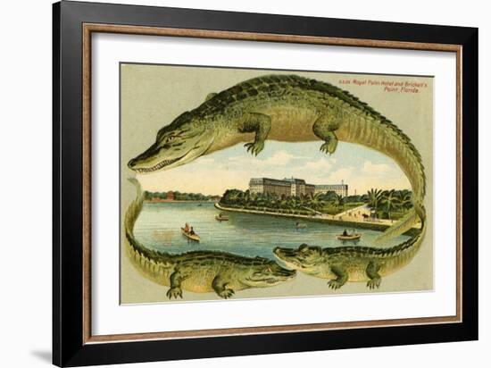 Alligators Surrounding the Royal Palm Hotel, C.1908-null-Framed Giclee Print