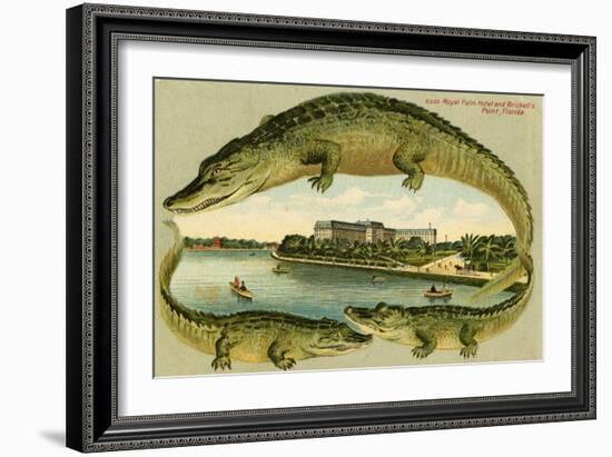 Alligators Surrounding the Royal Palm Hotel, C.1908-null-Framed Giclee Print