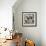 Allium Assemblage-Assaf Frank-Framed Giclee Print displayed on a wall