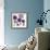 Allium Fernandez, 2004-Sarah Hough-Framed Giclee Print displayed on a wall