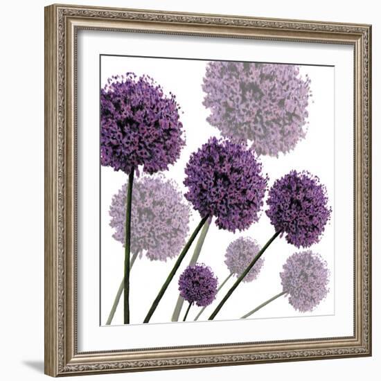 Allium Fernandez, 2004-Sarah Hough-Framed Giclee Print