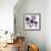 Allium Fernandez, 2004-Sarah Hough-Framed Giclee Print displayed on a wall