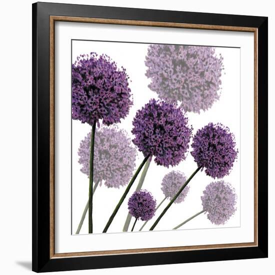 Allium Fernandez, 2004-Sarah Hough-Framed Giclee Print