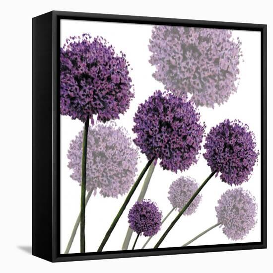 Allium Fernandez, 2004-Sarah Hough-Framed Premier Image Canvas