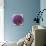 Allium Flower (Allium Sp.)-Cristina-Premium Photographic Print displayed on a wall