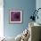 Allium Flower (Allium Sp.)-Cristina-Framed Premium Photographic Print displayed on a wall